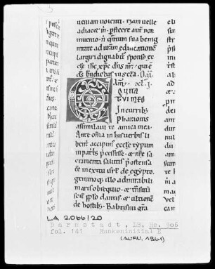 Bernardus, Sermones in Contica Canticorum — Initiale E, Folio 141recto