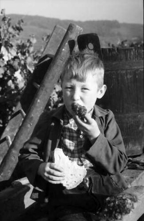Bischoffingen: Kinder vespern an der Bütte