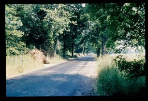 Chaussee 24.6.83.