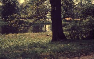 Kurpark: Salzteich