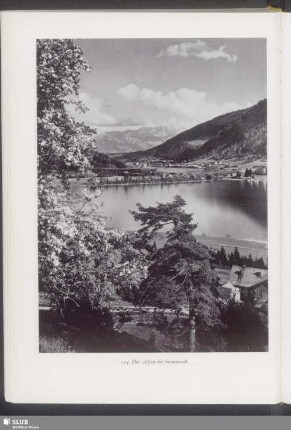 Der Alpsee bei Immenstadt