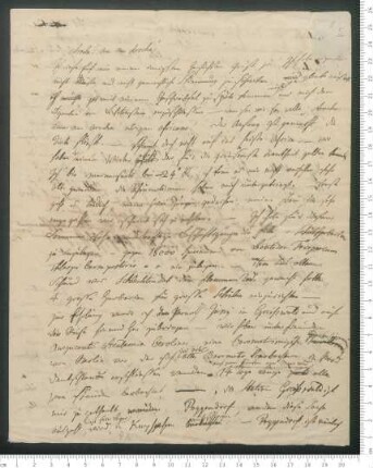 Brief von Adelbert von Chamisso an Christian Gottfried Ehrenberg und Friedrich Wilhelm Hemprich