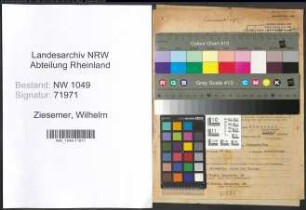 Entnazifizierung Wilhelm Ziesemer , geb. 18.01.1914 (Angestellter)