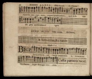 A solis ortus cardine