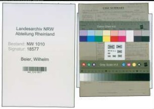 Entnazifizierung Wilhelm Beier , geb. (Stadt)