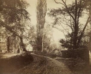 Landschaft mit Weg