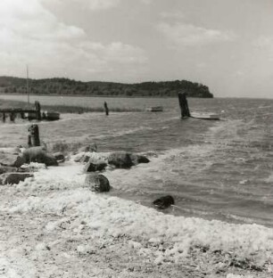 Rügen. Großer Jasmunder Bodden. Blick vom Fährdamm bei Lietzow zum Ralswieker Forst (Schaumbildung durch verunreinigtes Wasser)