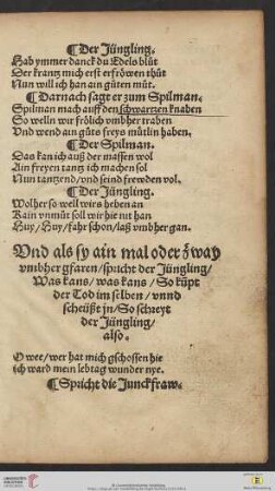 Vnd als sy ain mal oder zway vmbher gfaren / spricht der Jüngling [...]