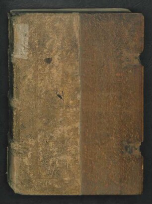 Jvdicivm [iudicium] Paridis Troiani De Tribus Deabus Venere, Ivnone [Iunone] Et Pallade