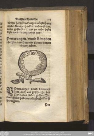 Pomerantzen/ unnd Limonenschelffen/ auch gantze Pomerantzen einzumachen.