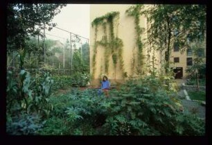Diapositive: Naunynstr. 52, 1986