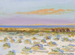 Salzablagerungen am Salzsee (Chott). Sahara