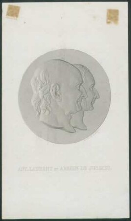 Ant. Laurent et Adrien de Jussieu.