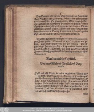 Das neundte Capittel. Von dem Glück und Unglück deß Bergwercks.