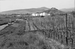 Ballrechten: Weinberg (Römerberg) mit Neubaublocks von Staufen