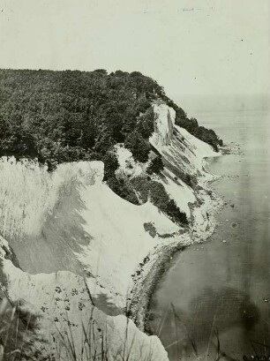 Rügen : Rügen. Jasmund. Kreideküste bei Stubbenkammer. Kolliker Ort vom Hohen Ufer