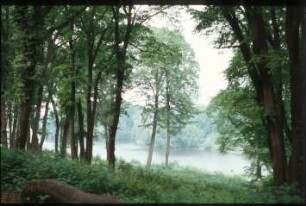 Berlin, Jagdschloss Glienicke : Blick vom Park Babelsberg auf Jagdschloss Glienicke