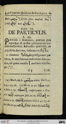 Cap. VII.: De particulis