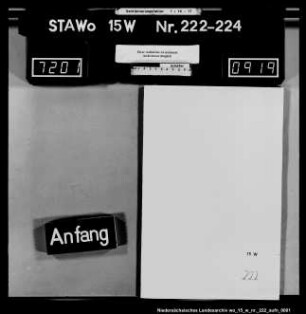 Nutzung herrschaftlicher Gebäude, Grundstücke und sonstiger Pertinenzen des Amts Thedinghausen