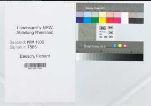 Entnazifizierung Richard Bausch, geb. ()