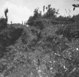 Am Berghang : Blick auf einen Berghang mit Vegetation