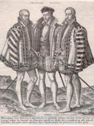 Die drei Brüder Coligny