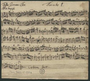 O du der für uns aller Ruh' - Mus.3602-E-504a : V (2), Coro, orch, bc
