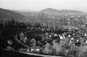 Blick auf Freiburg mit Schönberg durch die Blüten der Eichhalde