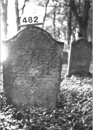 Grabstein 482 (Index: 99900939) Material: Sandstein Zustand: völlig verwittert Maße HxBxT: 104x58x10 cm Beschreibung: Stele mit Konvexbogenabschluss: Grabstein 482
