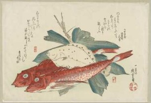 Plattfisch und rote Fische, aus: "Große Serie mit Fischen"