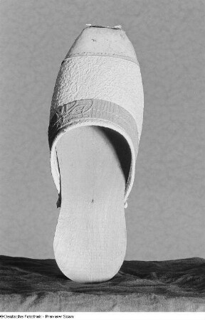 Holzschuh