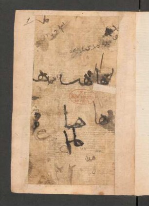 Maulid an-Nabī
