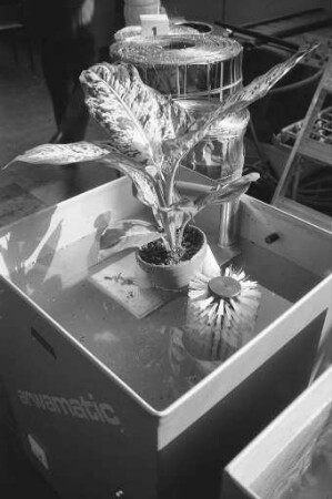 Deutscher Gartenbautag 1972 mit Fachausstellung "Technik im Gartenbau" in Karlsruhe