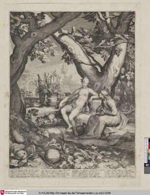 [Vertumnus und Pomona; Vertumnus and Pomona]