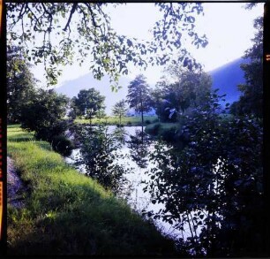 Oberwinden: Stauteich der Elz