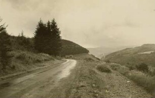 Schwarzwald. Blick in das Seebachtal (Bärental) aufwärts zum Feldberg