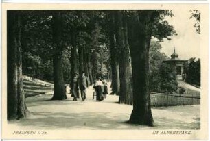 Freiberg. Im Albertpark