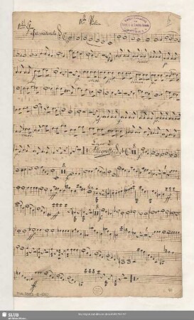 1.te Violine