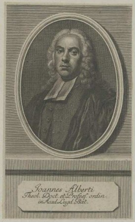 Bildnis des Joannes Alberti