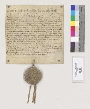 Bischof Hartwig von Regensburg befreit das Kloster St. Emmeram von der Pflicht, Prokuratoren von den Bischöfen von Regensburg erbitten zu müssen. S=A