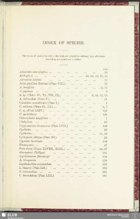 Index of species