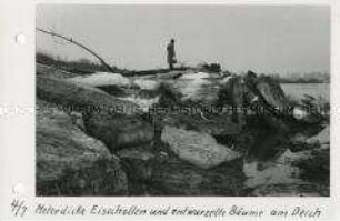 Hochwasserkatastrophe im Oderbruch