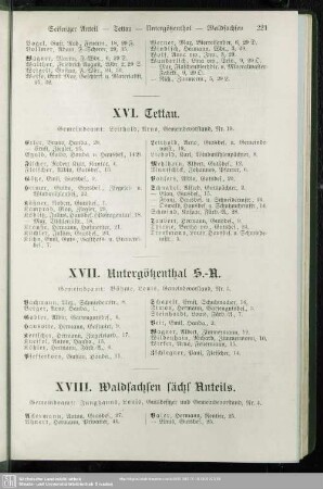 XVI. Tettau