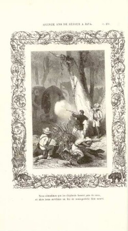 Nous attendìmes que les éléphants fussent près de nous, et alors nous ouvrîmes un feu de mousqueterie bien nouri