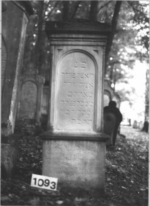 Grabstein 1093 (Index: 99899748) Material: Sandstein Zustand: Sockel völlig verwittert, hebr. Inschrift gut erhalten Maße HxBxT: 134x52x25 cm Beschreibung: aufgesockelte Stele mit flachem Giebeldach, darauf Voluten und Blattornamente Symbolik: Voluten, Blätter: Grabstein 1093
