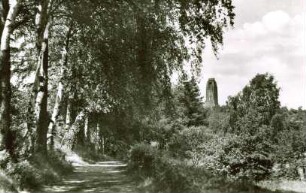 Postkarte, Guben (Gubin)