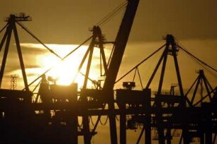 Das Container-Terminal Burchardkai der HHLA mit dem Burchardkai (am Waltershofer Hafen und Parkhafen) ist ein umfangreiches Containerterminal fuer den Gueterumschlag mit Containern von und auf Seeschiffe