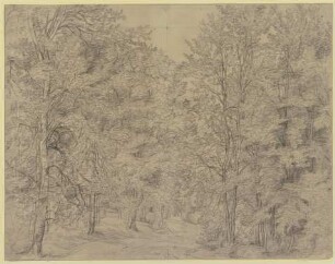 Waldweg