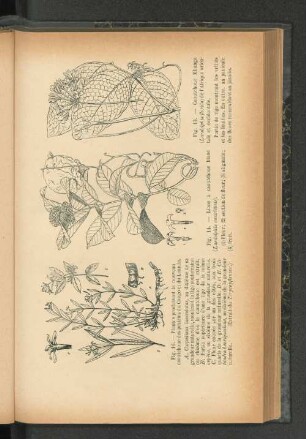 Fig. 13-16.