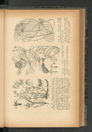 Fig. 13-16.